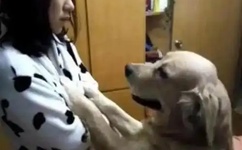 玩偶姐姐在哪里可以看到